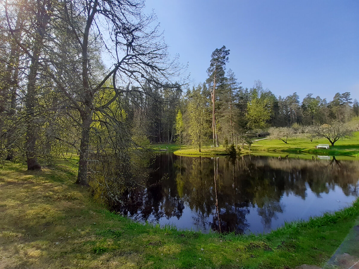 Такая Красота прямо рядом с усадебным домом, Михайловское