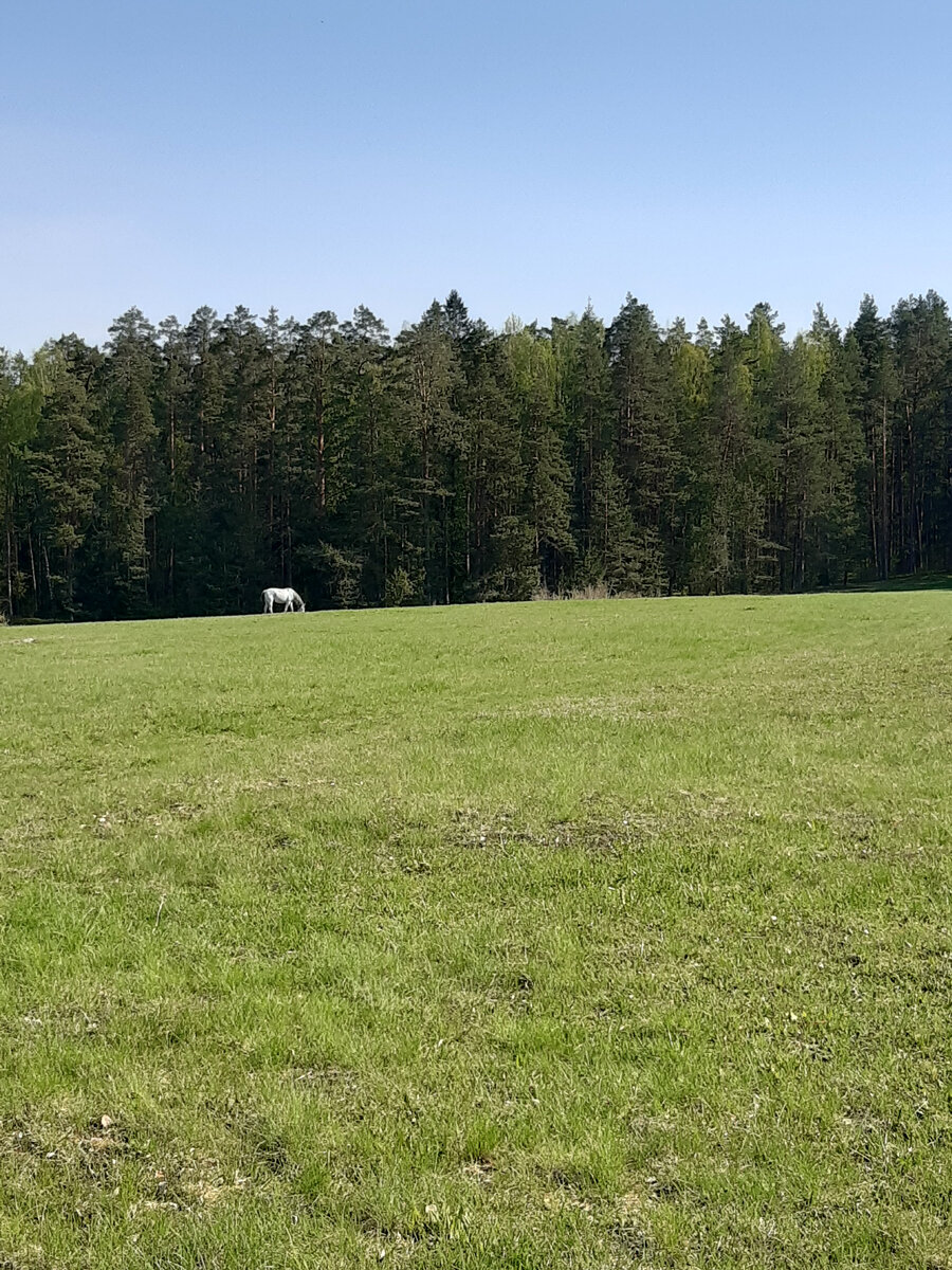 Территория заповедника