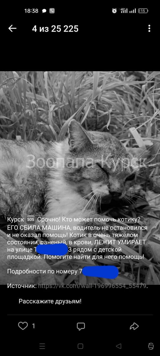 Пост в соцсети