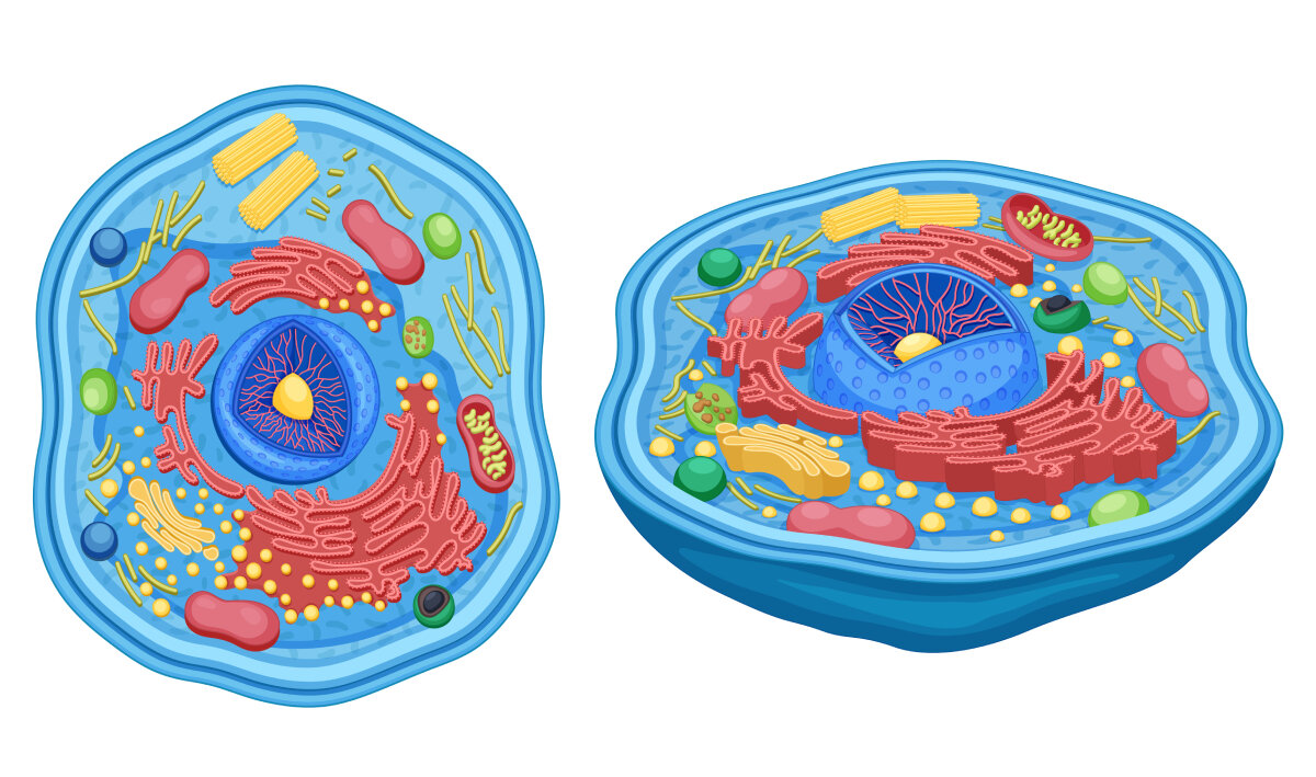 Изображение: brgfx/Freepik