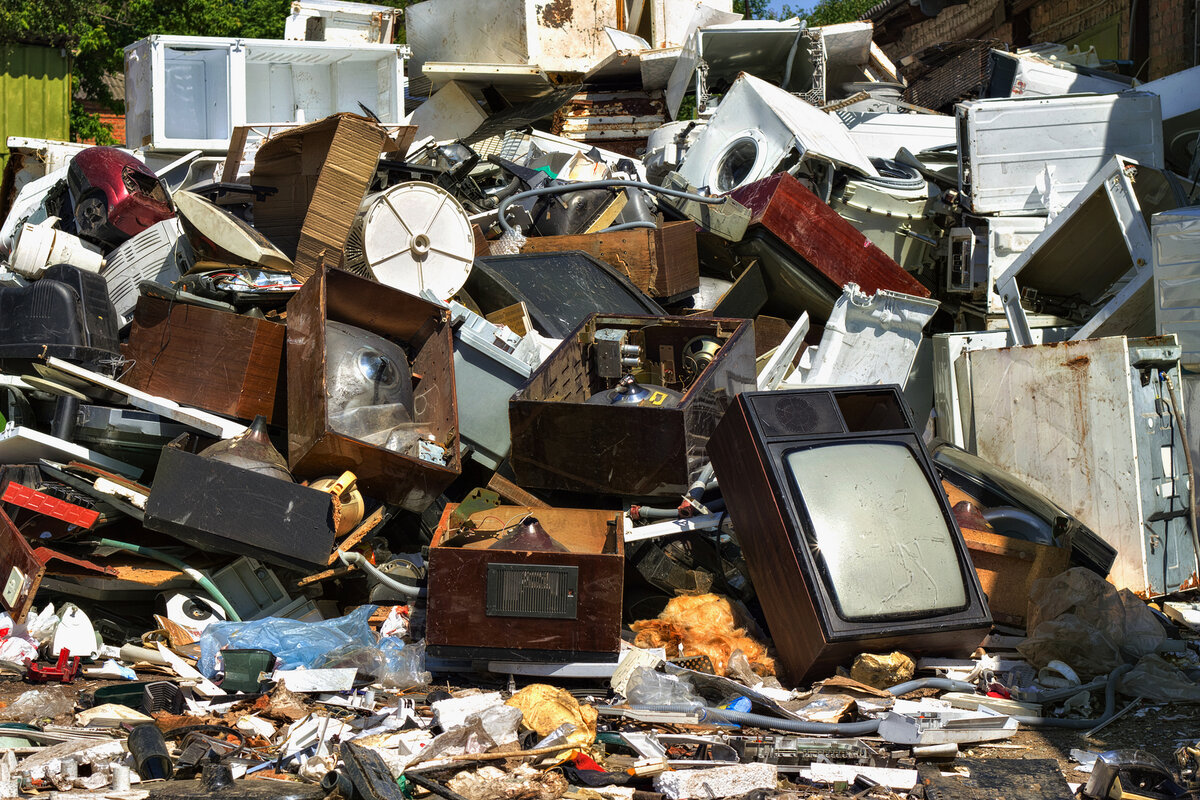 Токсичные компоненты электронных отходов могут вызвать повреждение мозга, сердца, печени, почек и скелета
