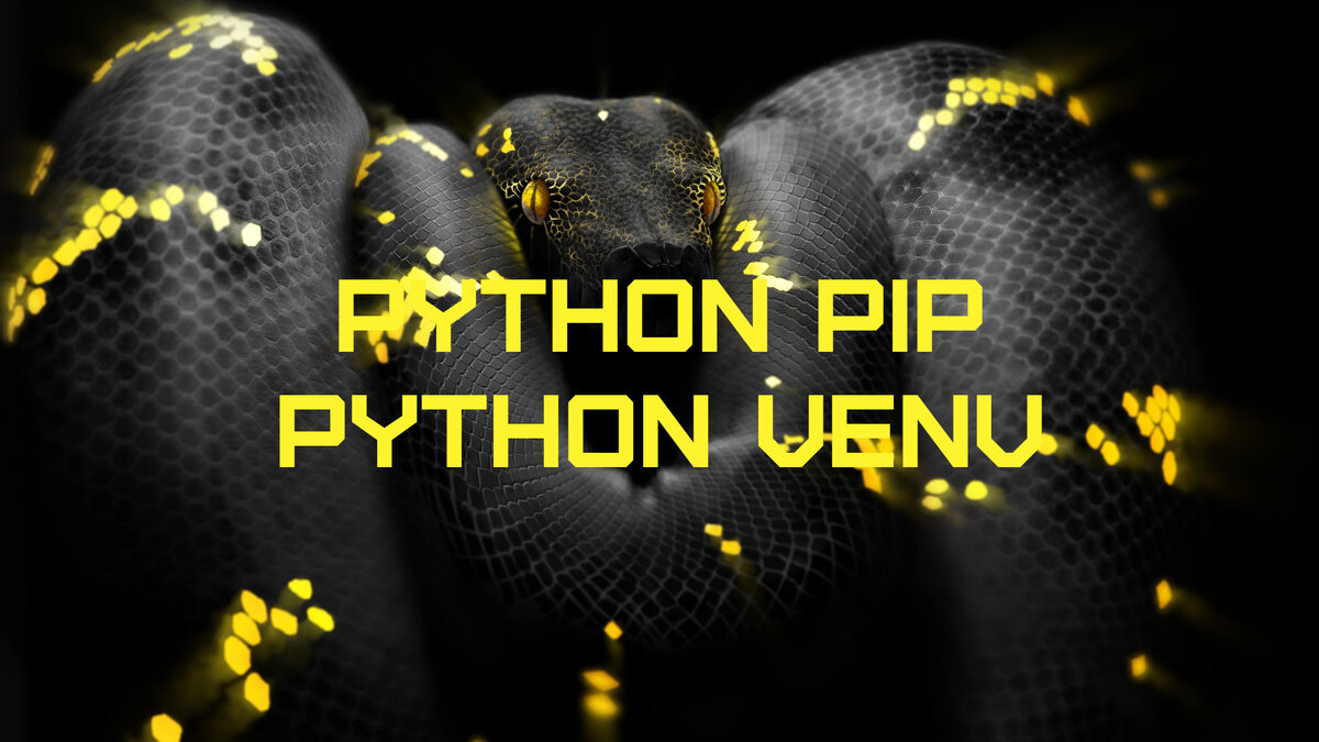 Язык программирования Python является одним из самых популярных, а также, одним из самых простых языков программирования.