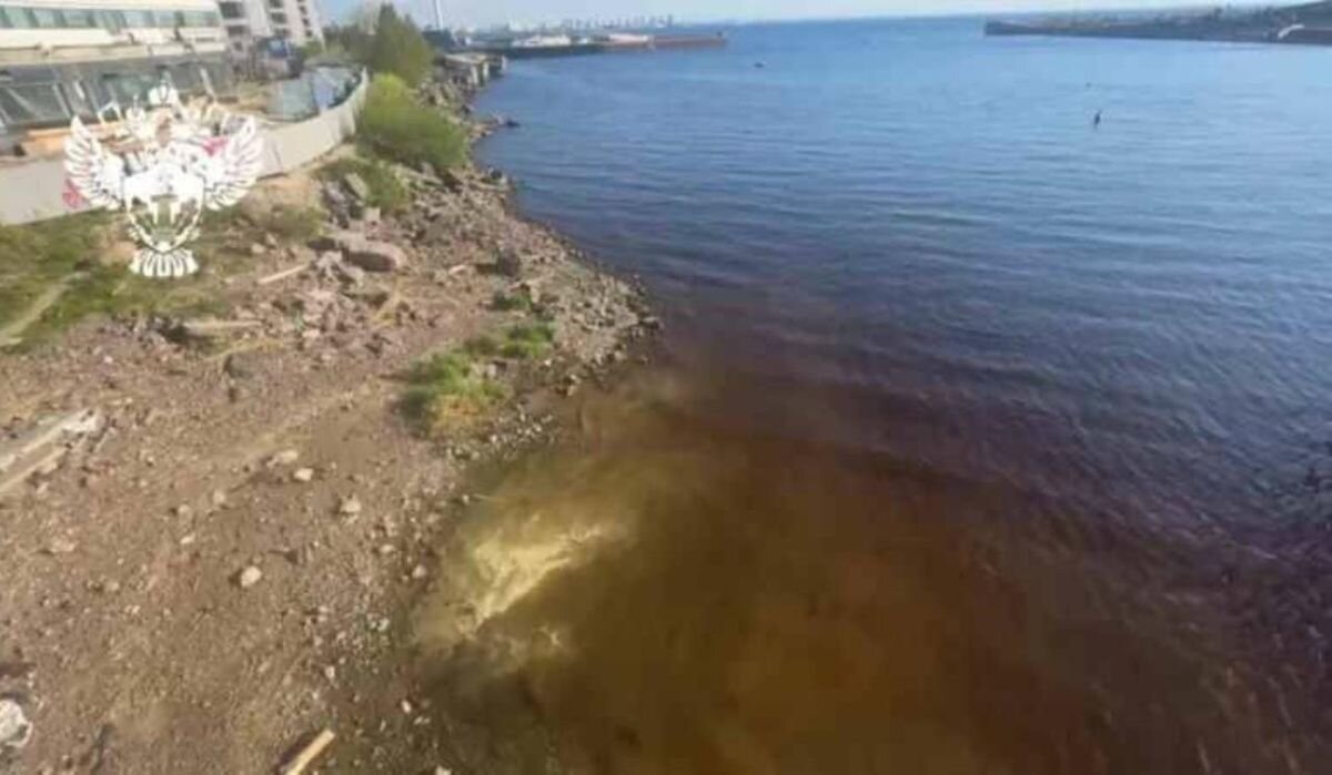     Пожелтевший Финский залив. Источник: t.me/rpn_szfo Автор фото: Пресс-служба Росприроднадзора