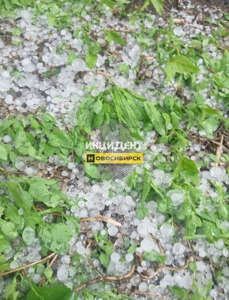    Град в Новосибирске. Источник: vk.com/incident_nsk