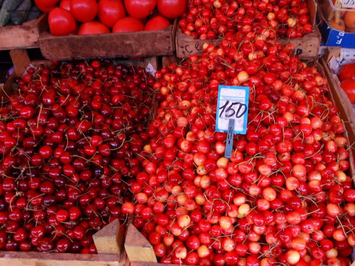 На садах в этом году можно поставить крест. Яблоки пострадали на 50%, а вишня-черешня-клубника и того больше