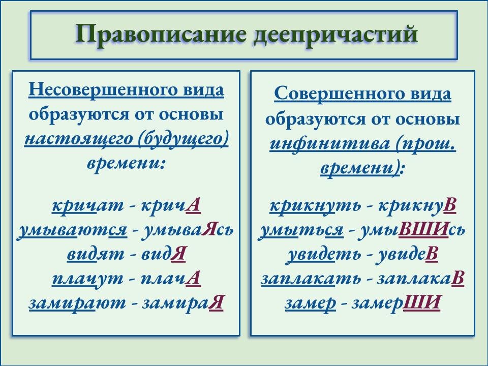 Написать 4 примера не с деепричастием слитно