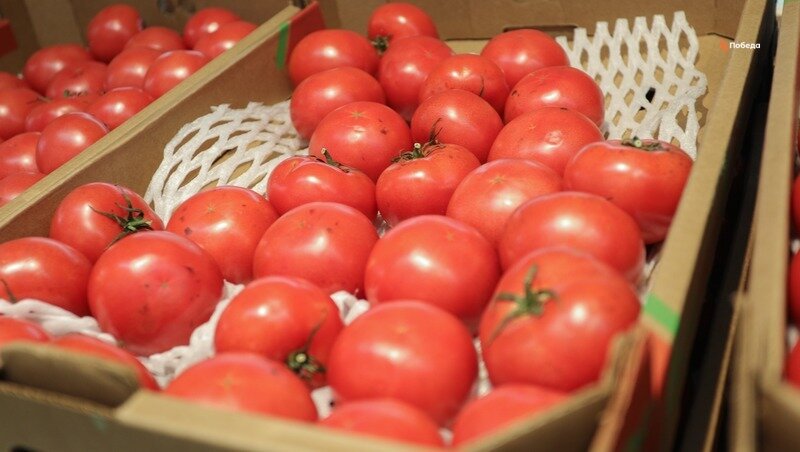      Фото: Дмитрий Ахмадуллин / / ИА «Победа26»