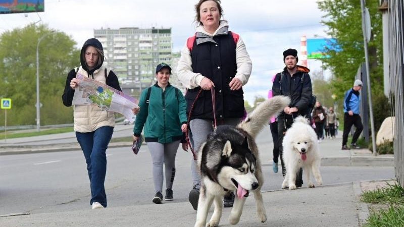    Фото ДИП Свердловской области