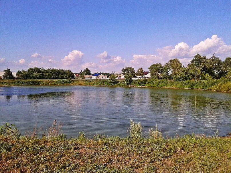 вид на сельское озеро, фото автора 2014 года из общего доступа сети интернет