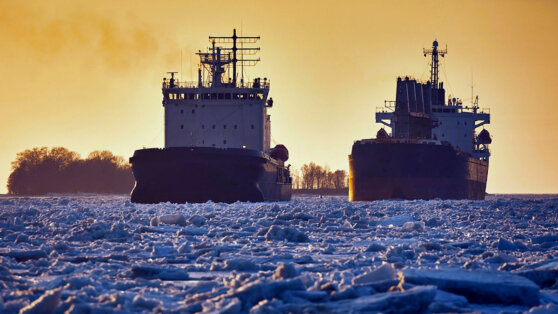    В правительстве РФ рассказали о результатах работы по расширению флота для Северного морского пути Ирина Петрова