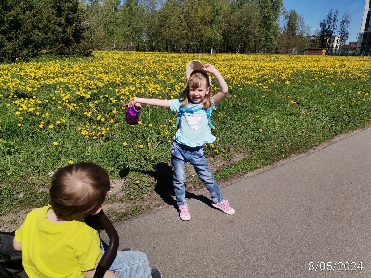 Одуванчикое поле