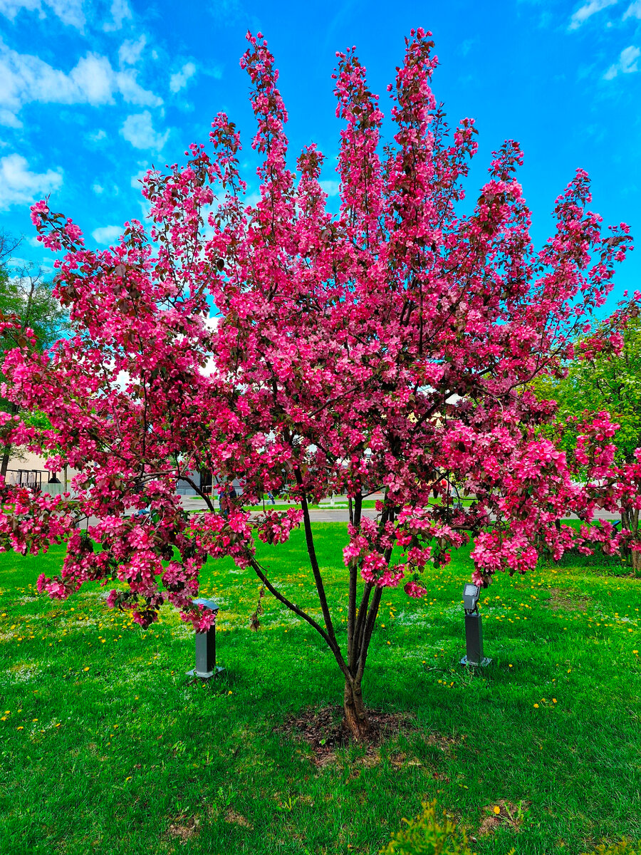 Красота нашего мира