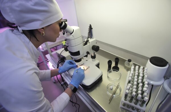 Фото: РИА Новости