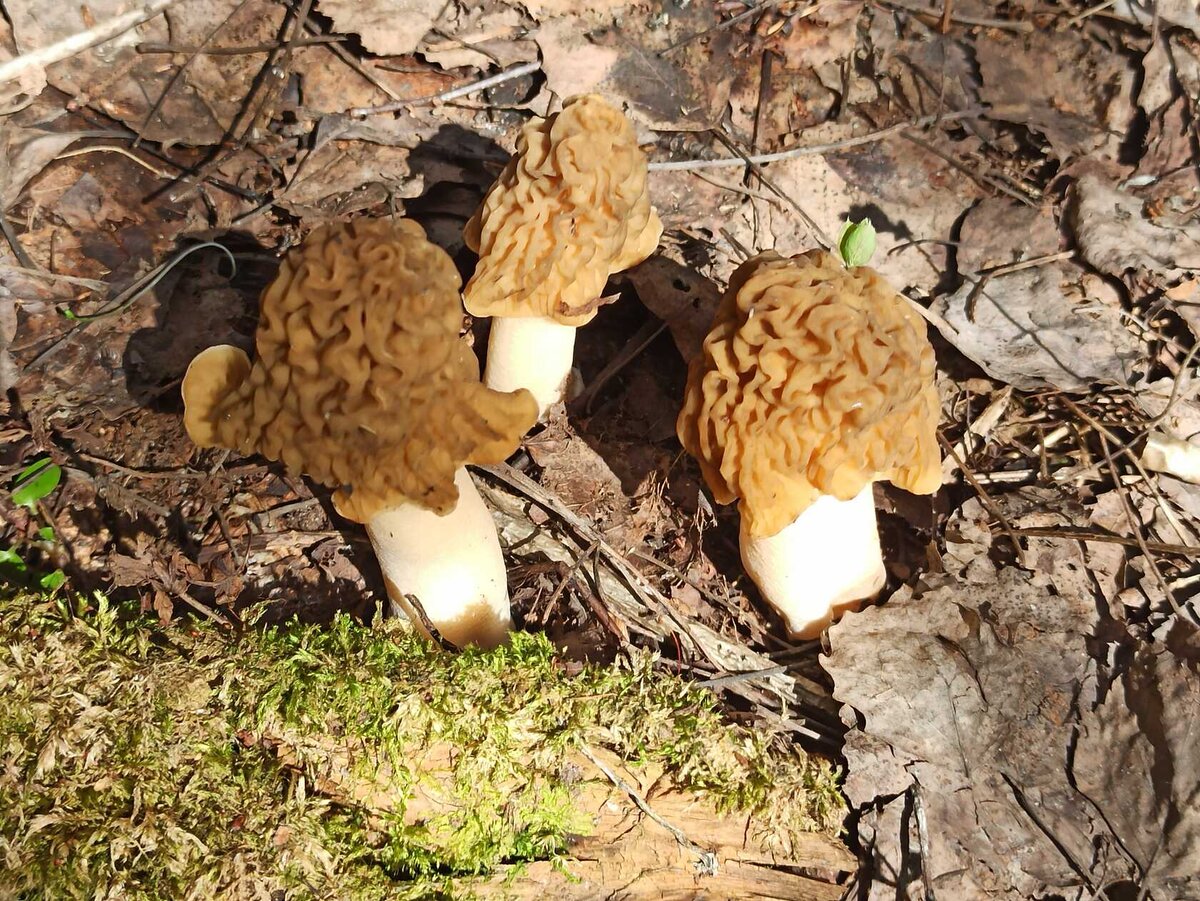 Кировская область живёт по старому стилю (фото Доктора Д)