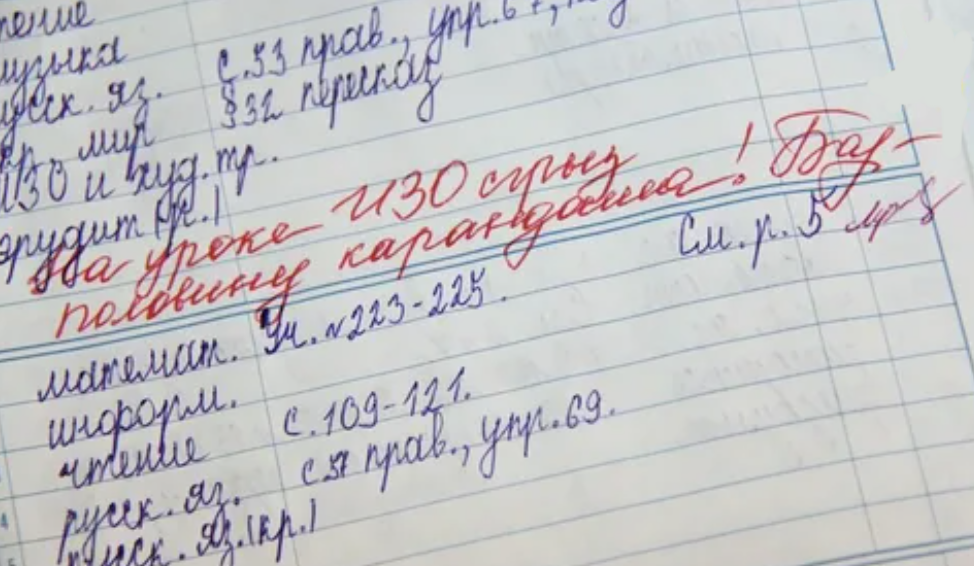 Что за ученики? Уже в бобры превратились!🦫