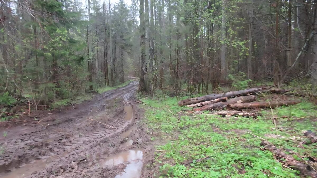     Источник: Пресс-служба МВД по Удмуртии