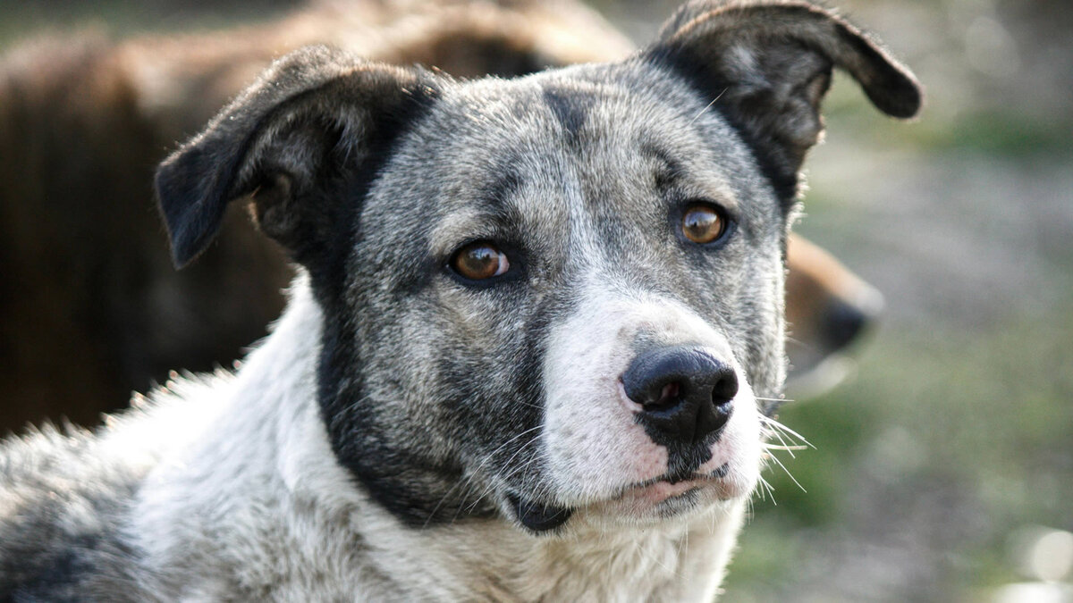 Наиболее заметными признаками стариения были увеличение веса, более частое мочеиспускание и ухудшение зрения. Фото Vitalina Parpalak/Pexels