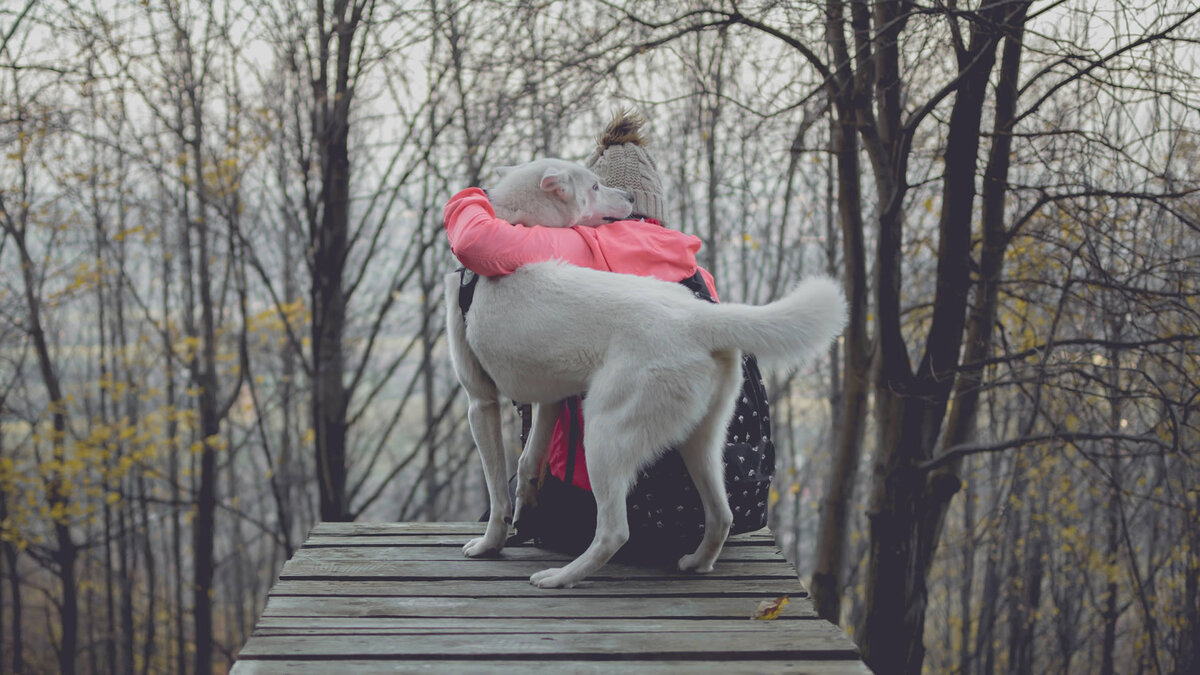 А что Вы хотите получить в итоге? Фото Marek Szturc/Unsplash