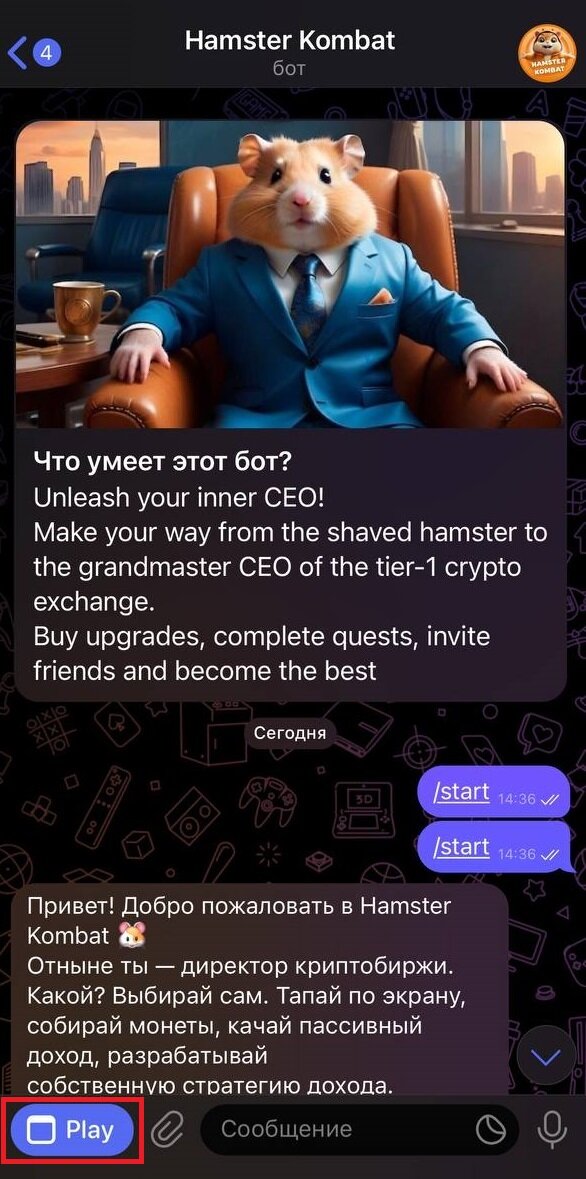 Шифр hamster 24 июня