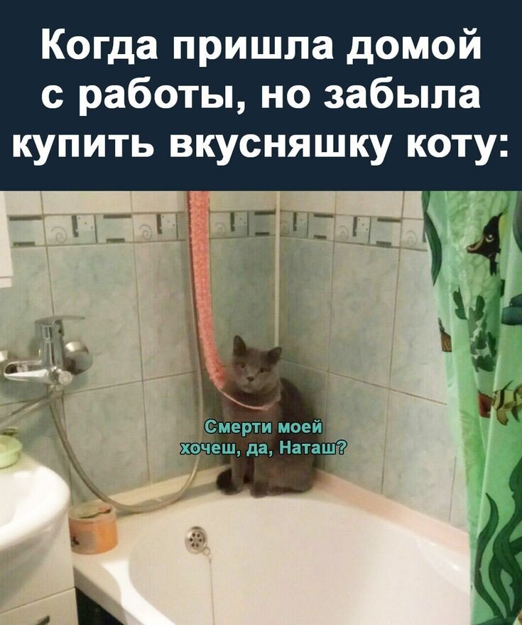  ,       ,    .   , , , ,    ,    .-22