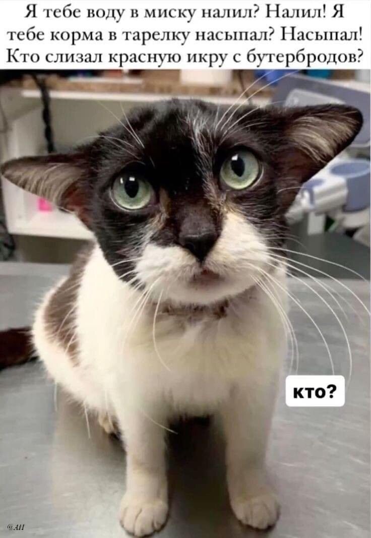  ,       ,    .   , , , ,    ,    .-21