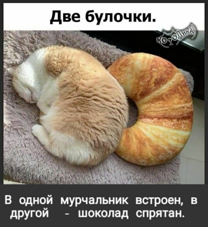  ,       ,    .   , , , ,    ,    .-20