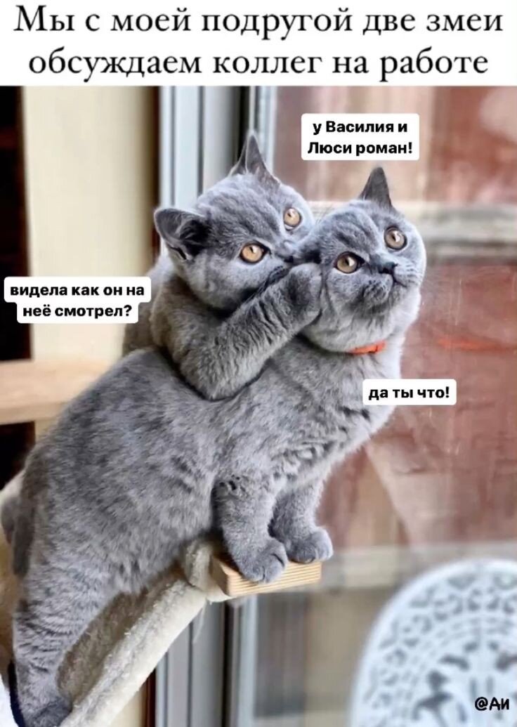  ,       ,    .   , , , ,    ,    .-17