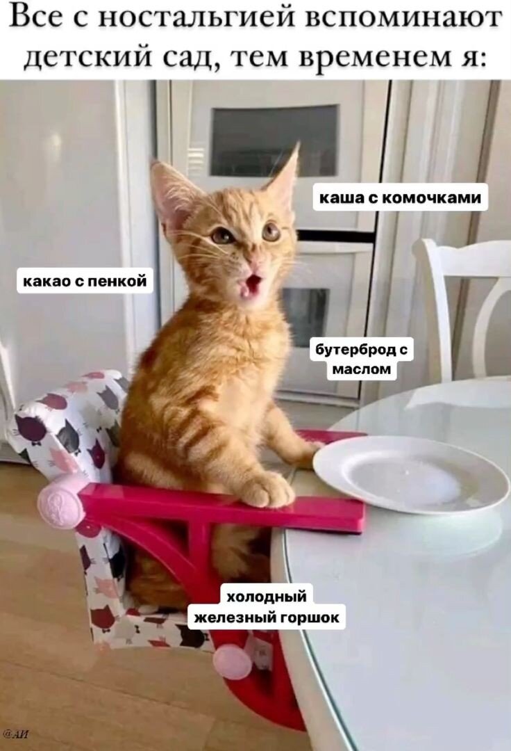  ,       ,    .   , , , ,    ,    .-16