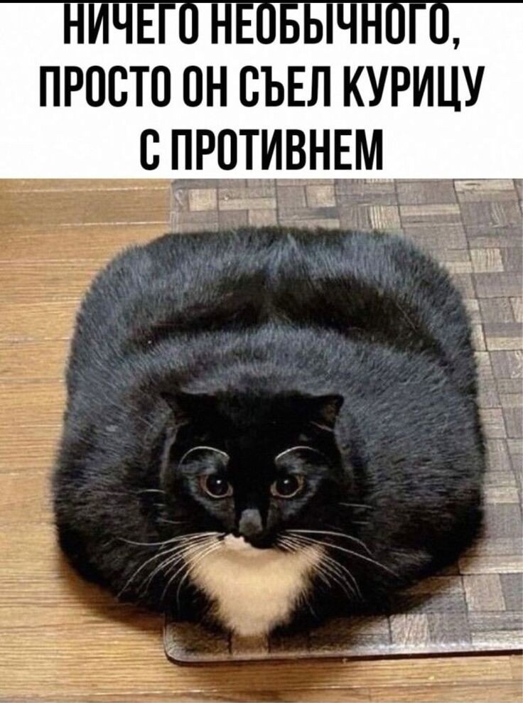  ,       ,    .   , , , ,    ,    .-14