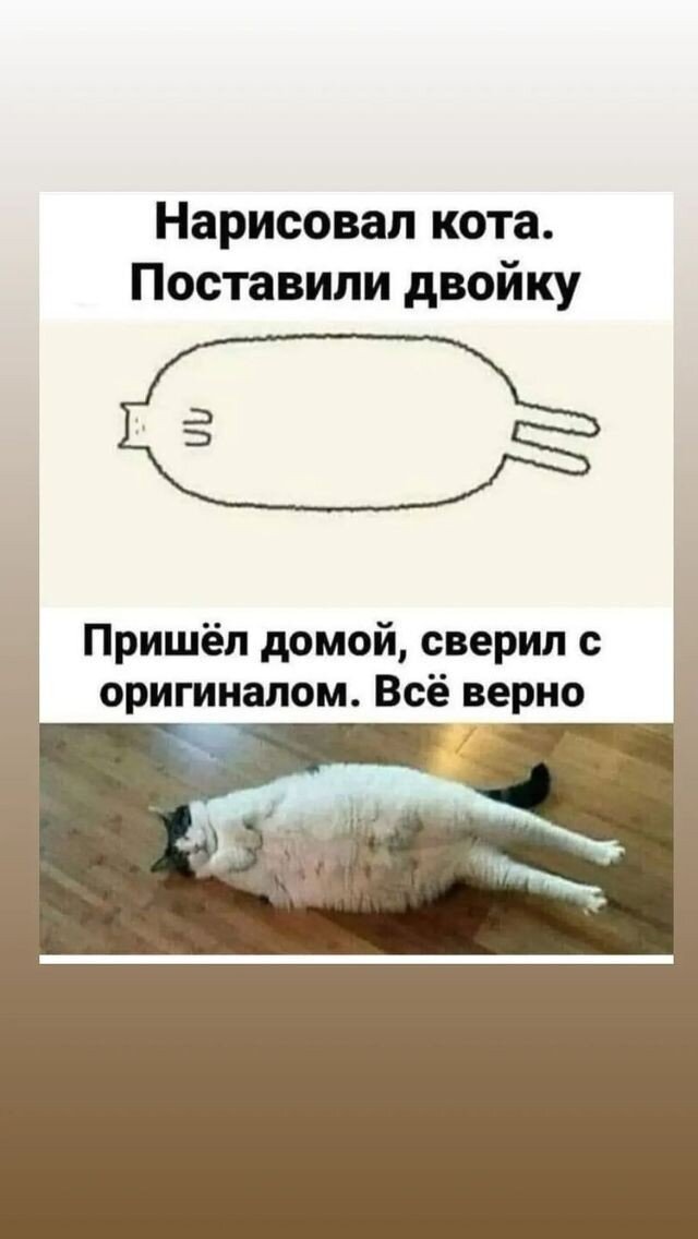  ,       ,    .   , , , ,    ,    .-13