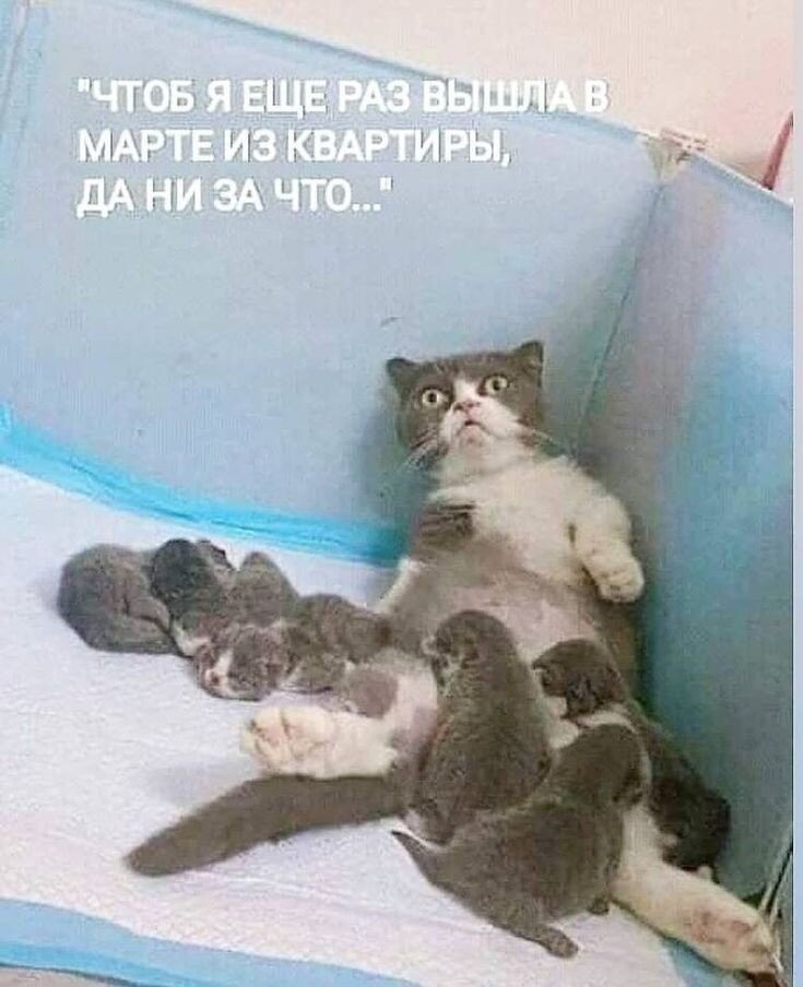  ,       ,    .   , , , ,    ,    .-11