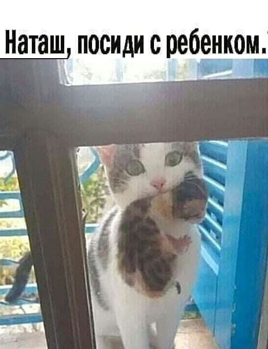  ,       ,    .   , , , ,    ,    .-10