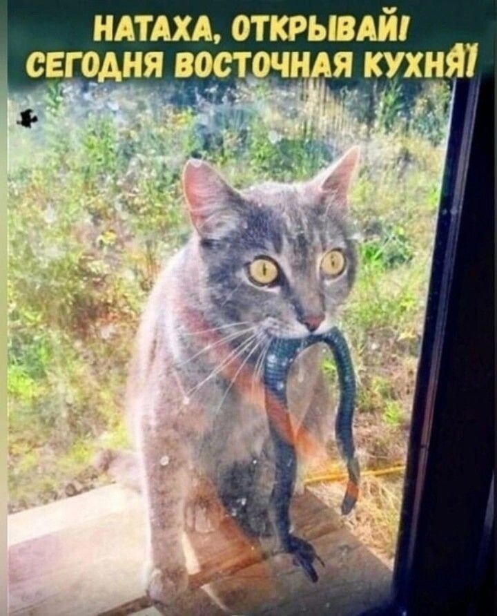  ,       ,    .   , , , ,    ,    .-9