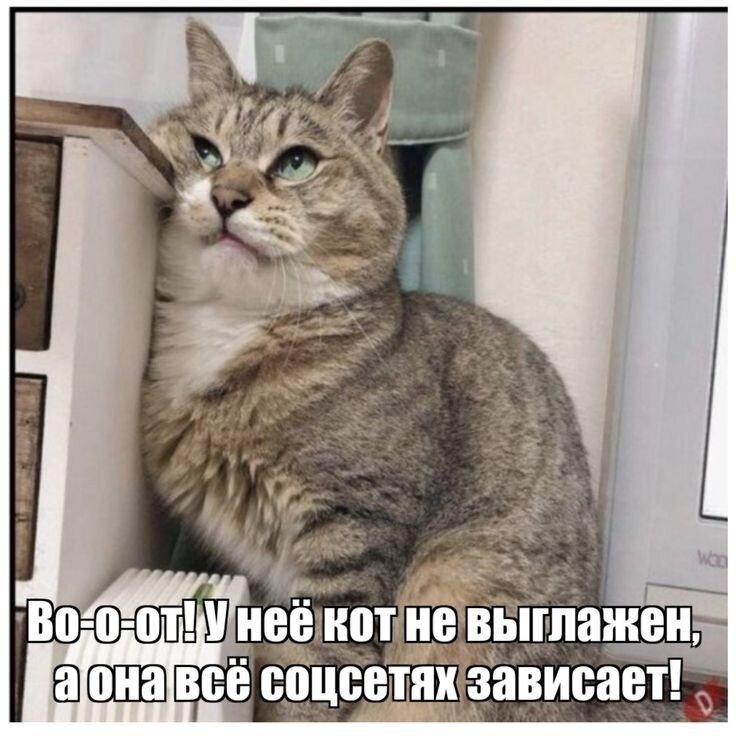  ,       ,    .   , , , ,    ,    .-8