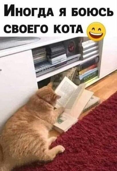  ,       ,    .   , , , ,    ,    .-7