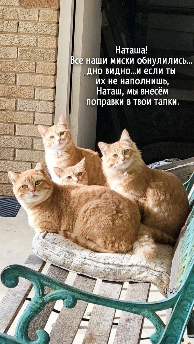  ,       ,    .   , , , ,    ,    .-6