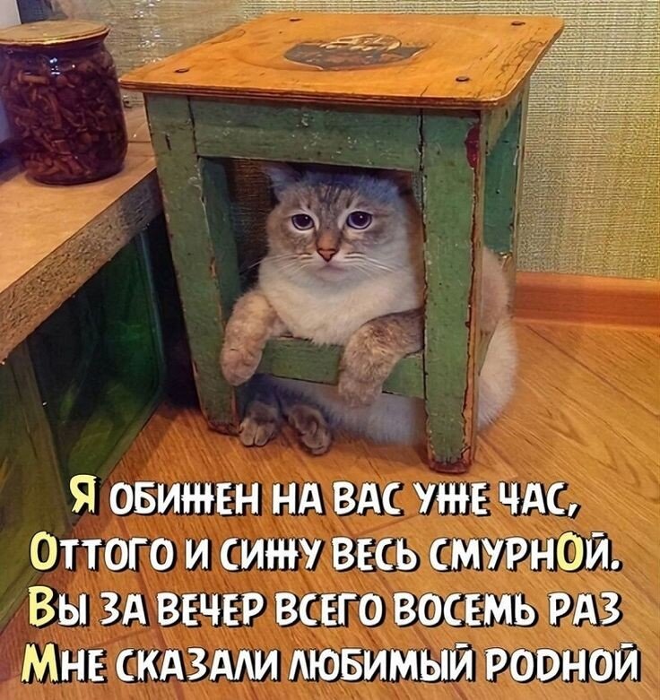  ,       ,    .   , , , ,    ,    .-4