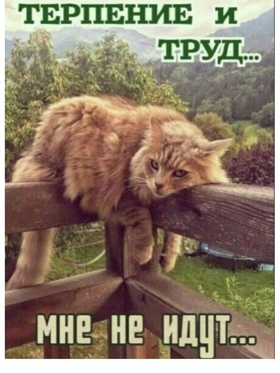  ,       ,    .   , , , ,    ,    .-5