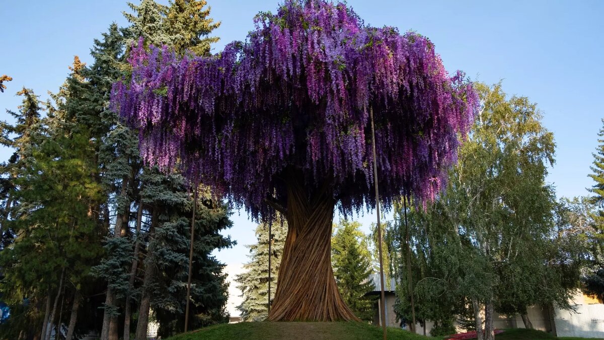     Источник: 1MI