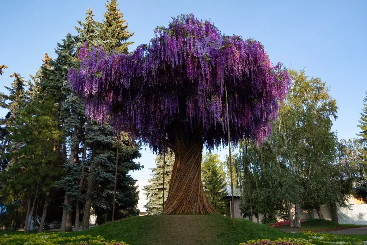     Источник: 1MI