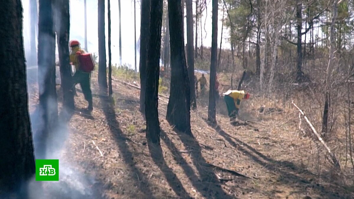    В Амурской области и Забайкалье тушат лесные пожары