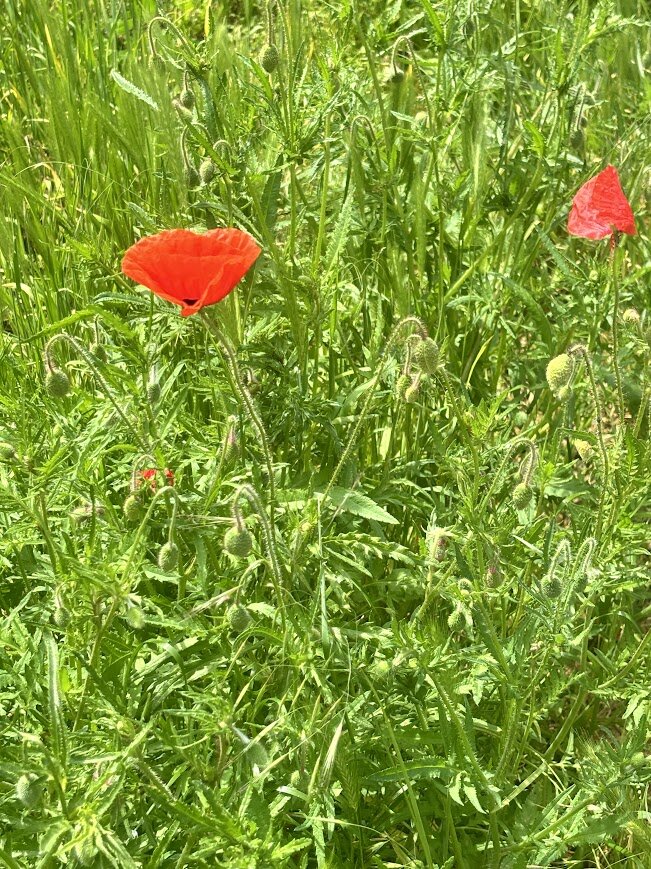 У нас уже вовсю по ощущениям - лето