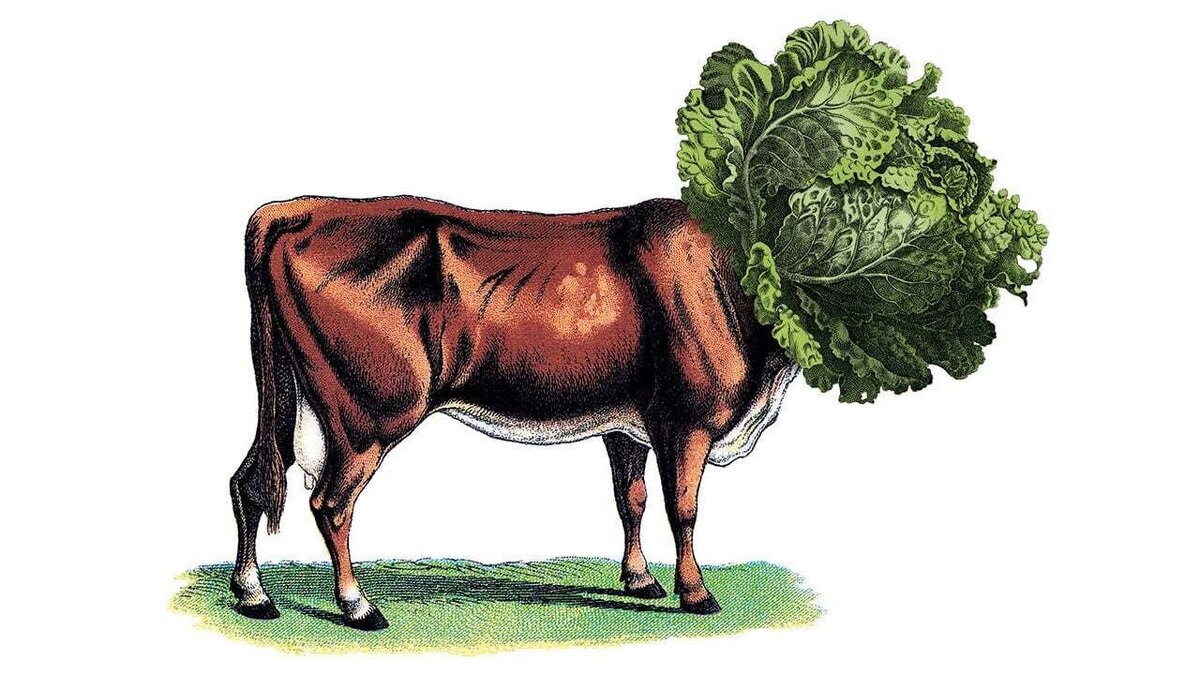 Изображение из открытых источников