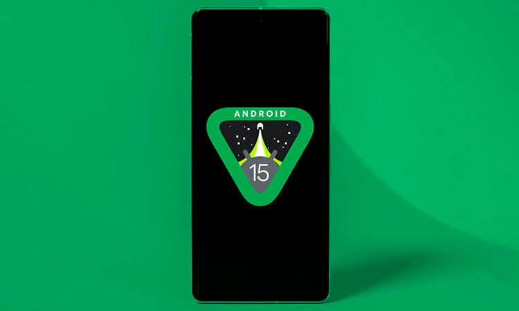 Фото: открытые источники