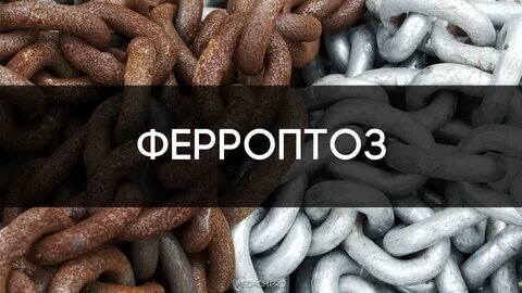 https://avatars.mds.yandex.net/i?id=b04fa17a9d08ae9406d0de91b4eae2eb92e7325b-12144750-images-thumbs&n=13  https://medach.pro/post/1242