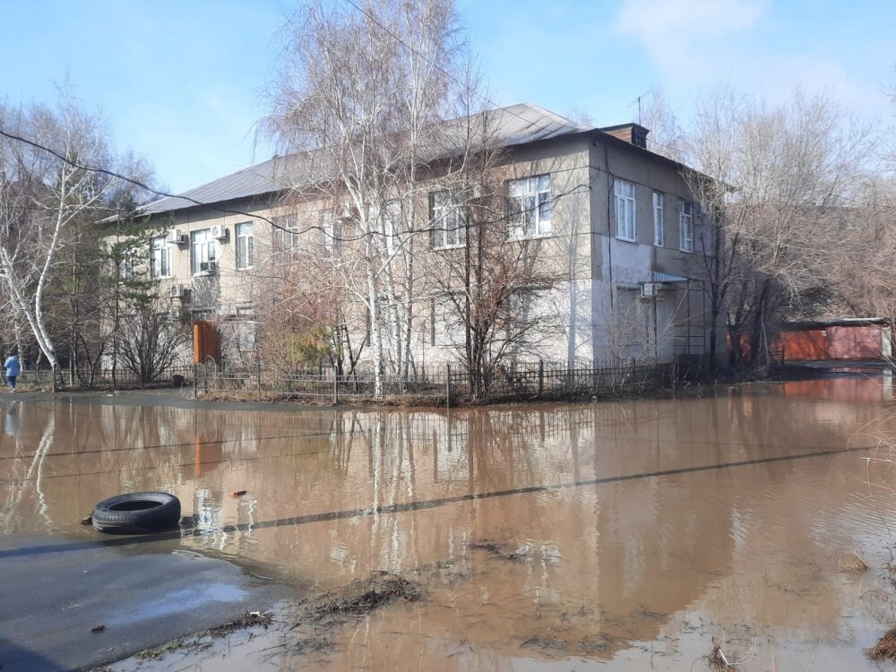    Фото: АиФ в Оренбурге