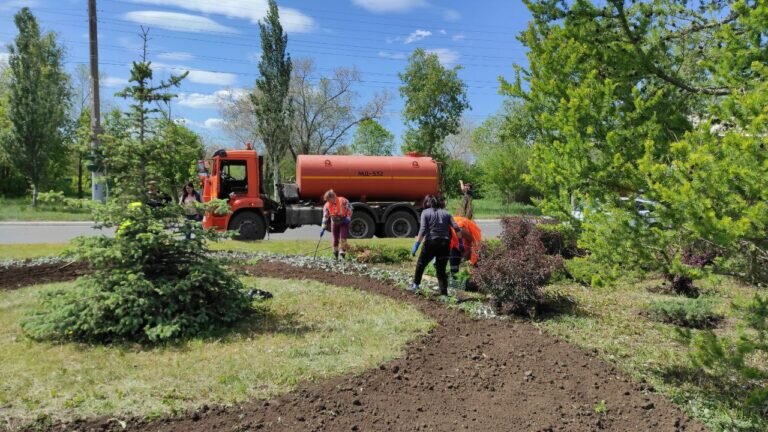    В Оренбурге высаживают тагетес, цинерарию и амарант Кристина Просвиркина