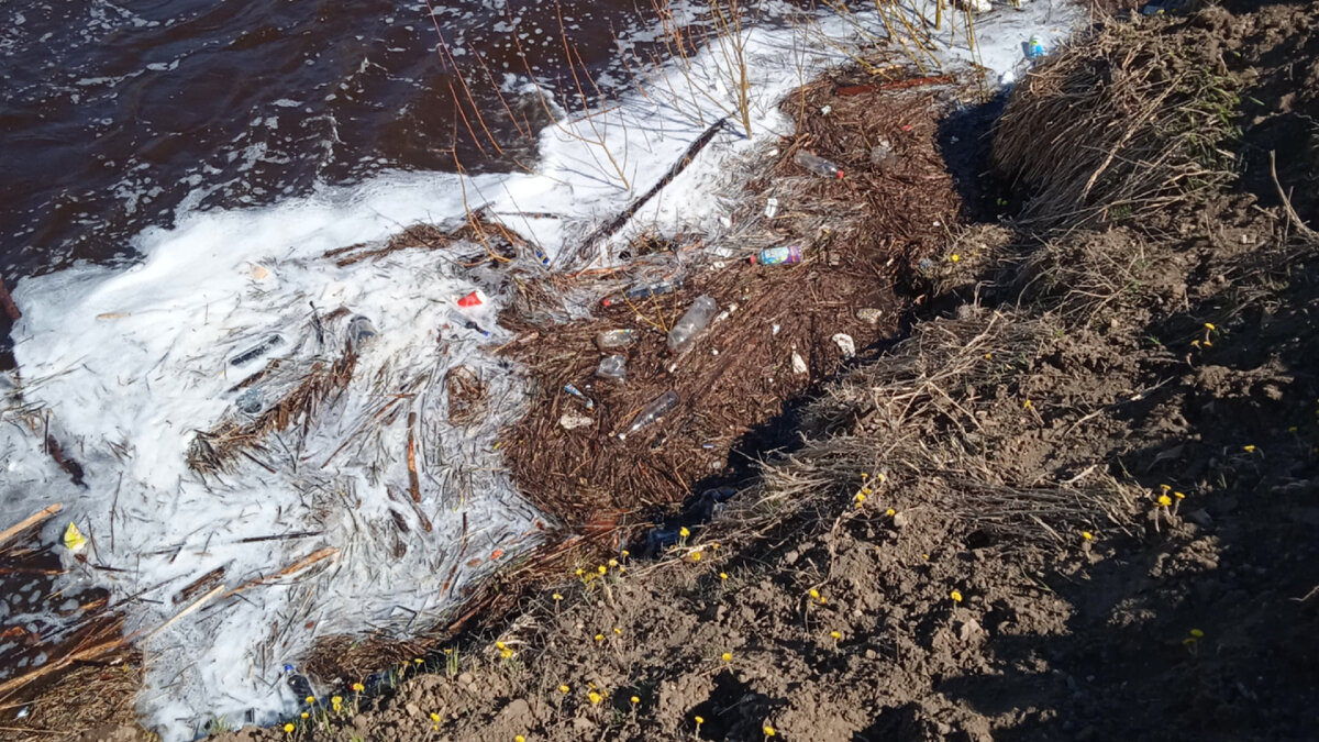 загрязнение берегов водоёма