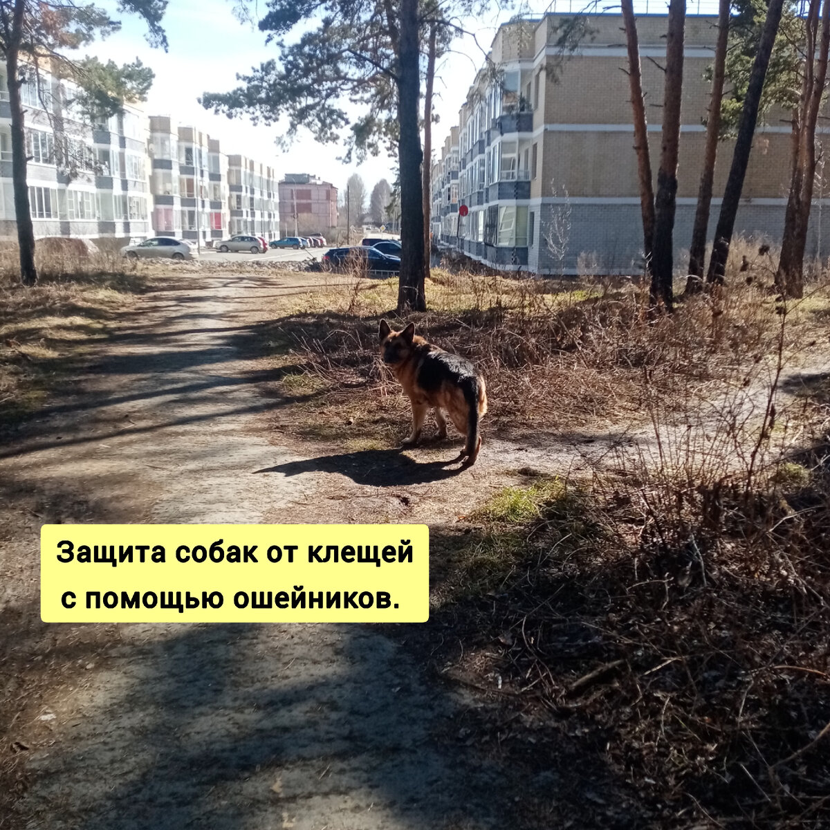 Атос. Фото автора.