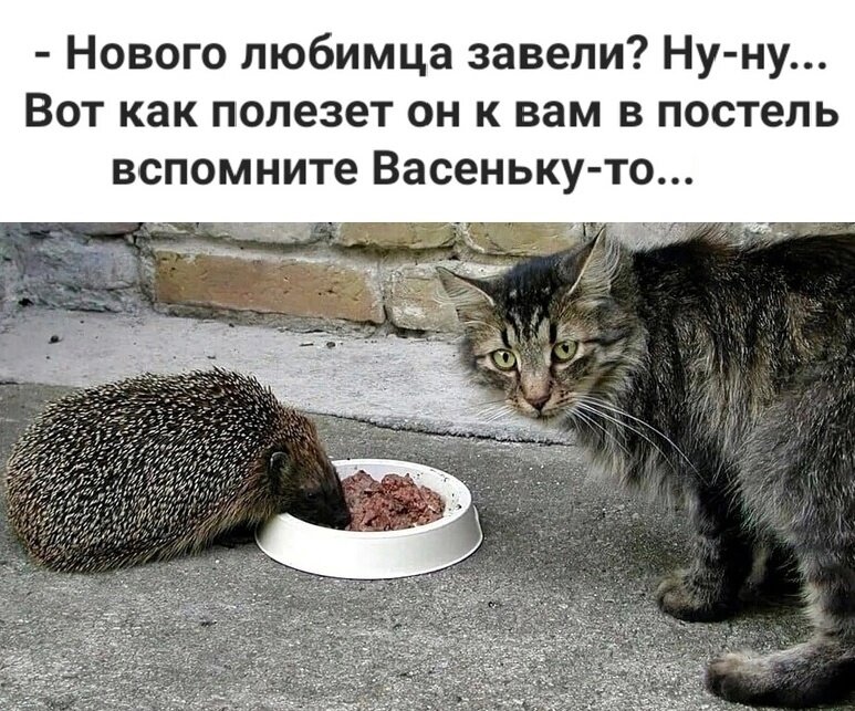иллюстрация из яндекс картинки.